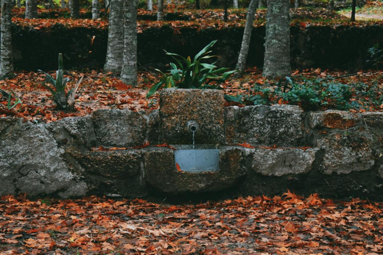 Quinta das Fontes - Alojamento Rústico Local e Turismo Rural São Pedro do Sul Exterior foto