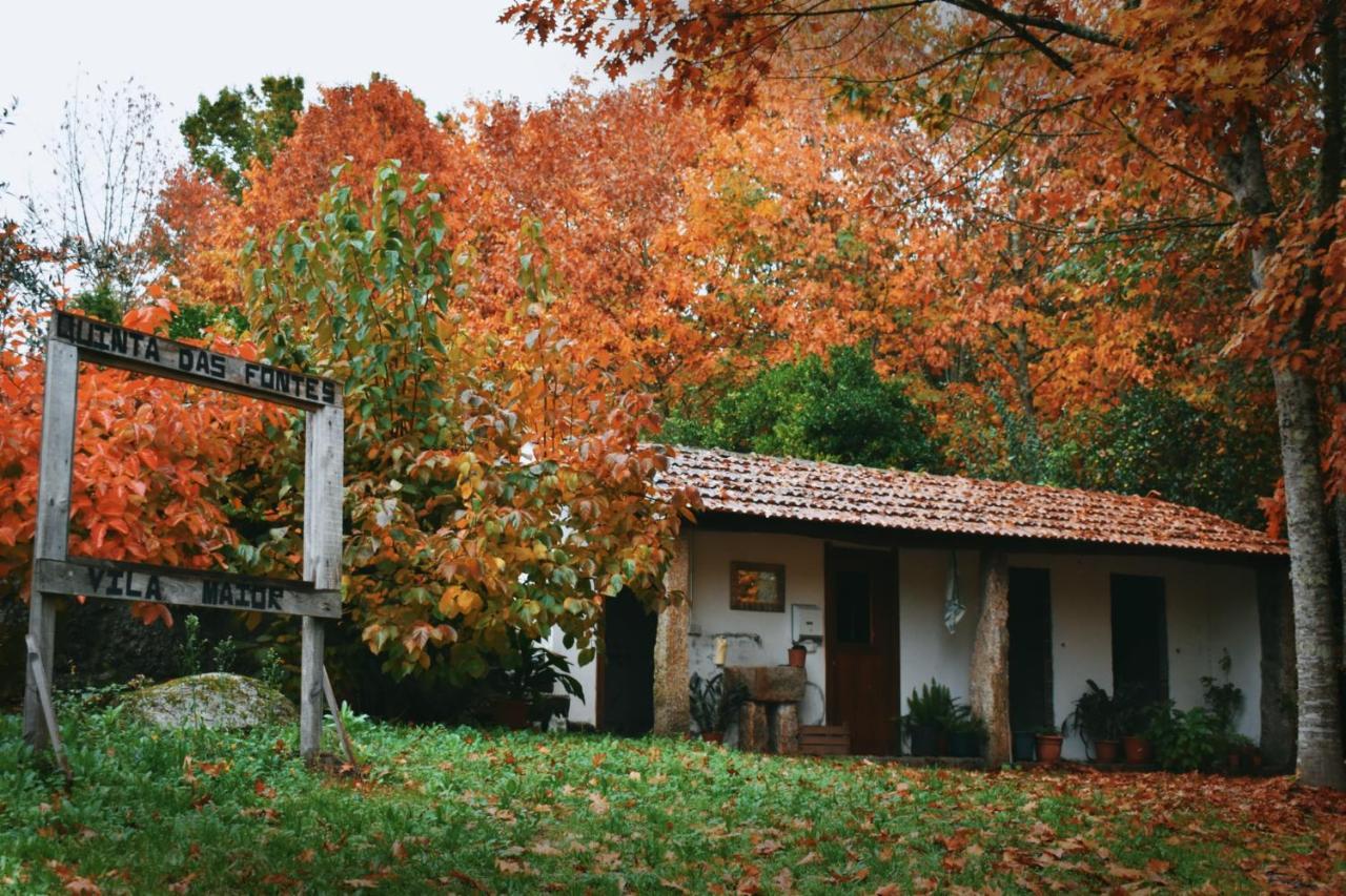 Quinta das Fontes - Alojamento Rústico Local e Turismo Rural São Pedro do Sul Exterior foto