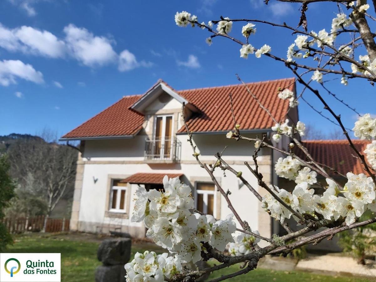 Quinta das Fontes - Alojamento Rústico Local e Turismo Rural São Pedro do Sul Exterior foto