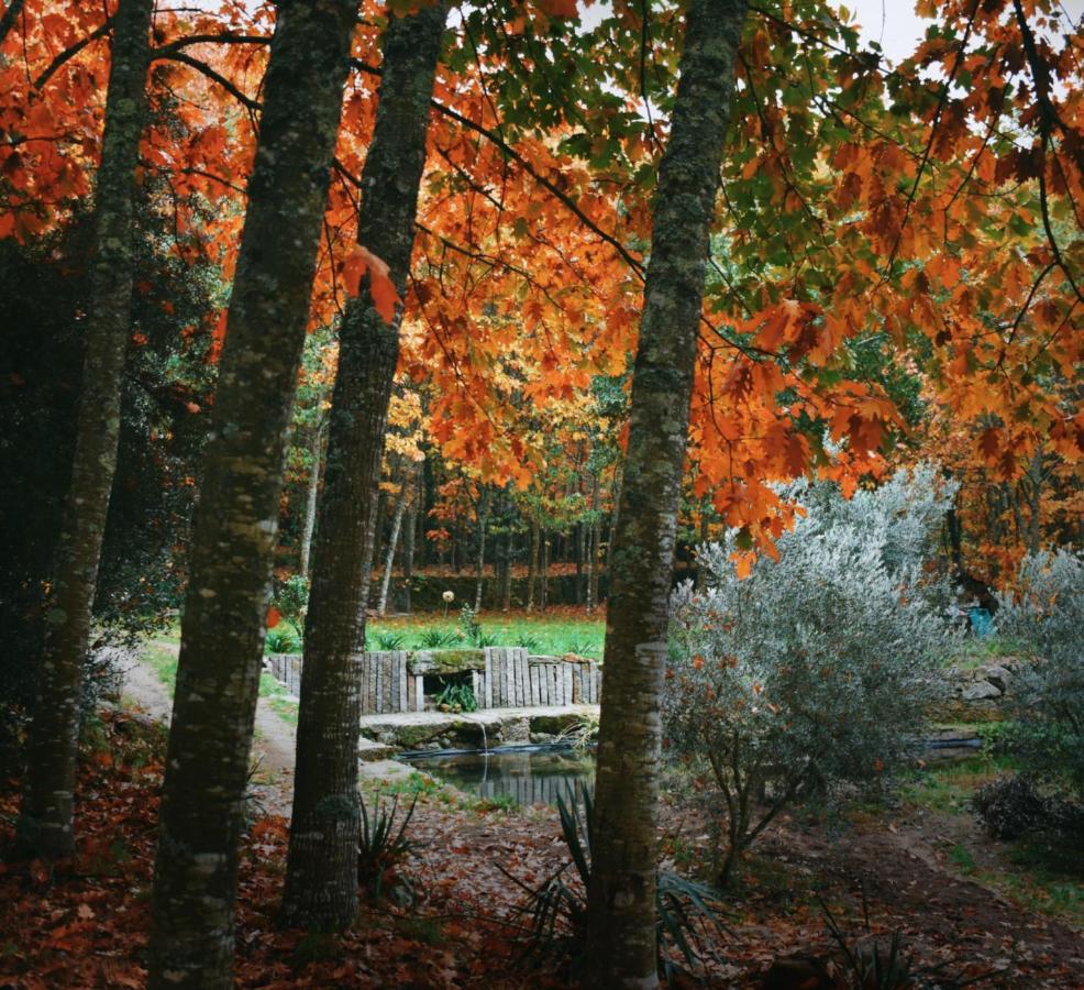 Quinta das Fontes - Alojamento Rústico Local e Turismo Rural São Pedro do Sul Exterior foto