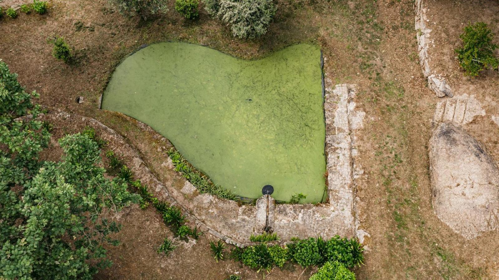 Quinta das Fontes - Alojamento Rústico Local e Turismo Rural São Pedro do Sul Exterior foto