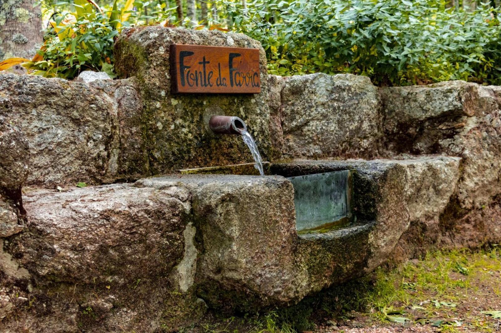 Quinta das Fontes - Alojamento Rústico Local e Turismo Rural São Pedro do Sul Exterior foto